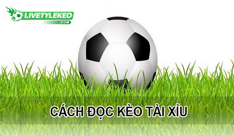 Cách đọc kèo Tài Xỉu cho tân cược thủ