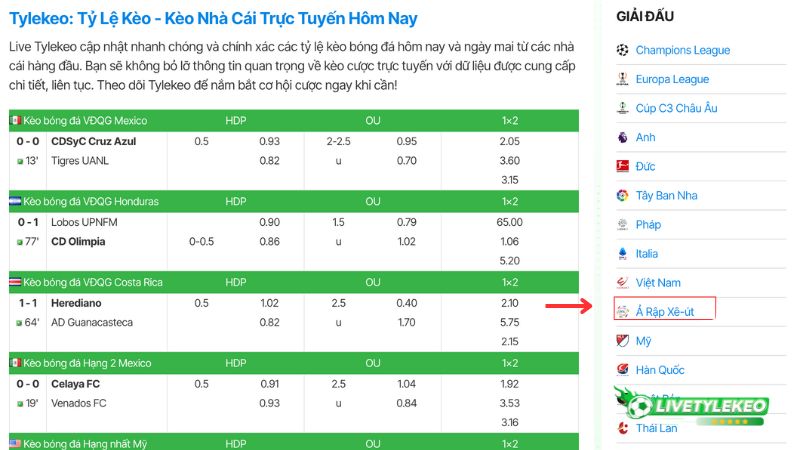 Hướng dẫn cách xem kèo bóng đá Ả Rập Xê-út trên Livetylekeo