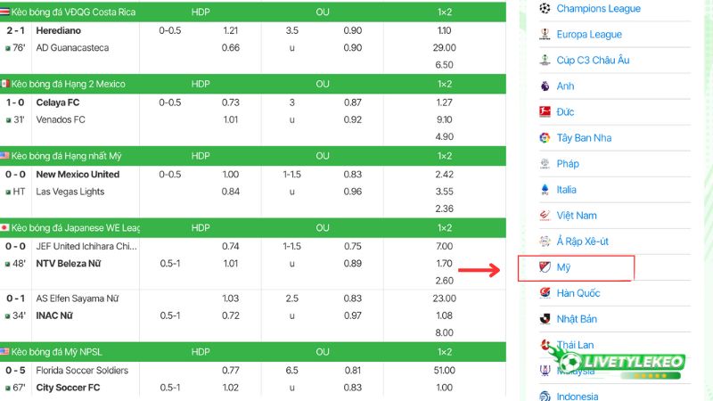 Hướng dẫn cách xem kèo bóng đá Mỹ trên Livetylekeo